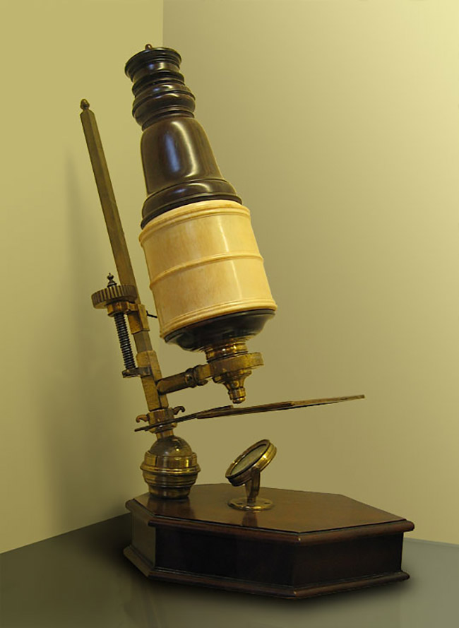 A 17th-century compound microscope similar to the one Robert Hooke would have used to compile his Micrographia. From the Whipple Museum of the History of Science in Cambridge. Courtesy of Andrew Dunn. 