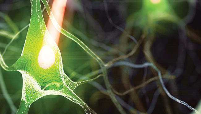 Lasers are used both to stimulate neurons and to map activity in connected neurons via fluorescent probes such as genetically modified calcium indicators. Courtesy of University College London. 